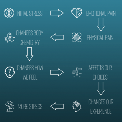 A flow chart showing how stress impacts our lives